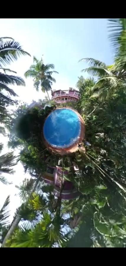 Wilson Ayurvedic Beach Resorts Kovalam Exterior photo